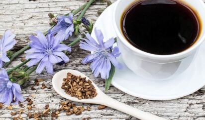 Čekanka aneb k čemu je čekankový sirup?